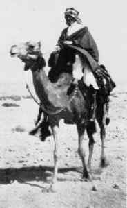 Lawrence d'Arabie alias Al Lawrence